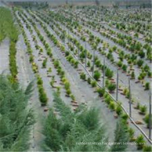 Landscaping & Decking Type and Fabric Material Weed Controle Fabric